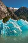 USA-Alaska-Tongass National Forest Icebergs in Endicott Arm inlet Art Print